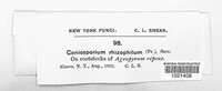 Image Associated With the Occurence